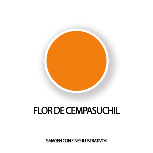 MATIZADOR CEMPASUCHIL